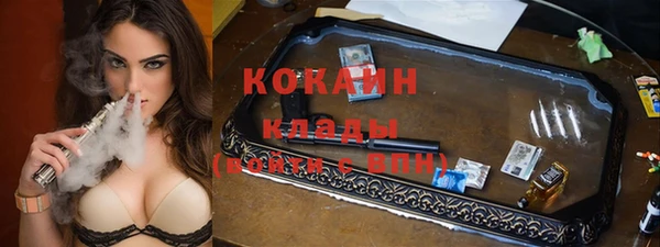 a pvp Горняк